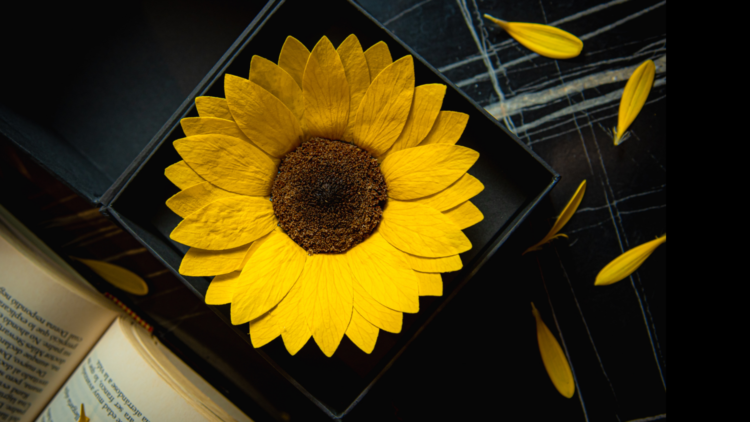 girasoles-preservados-naturales