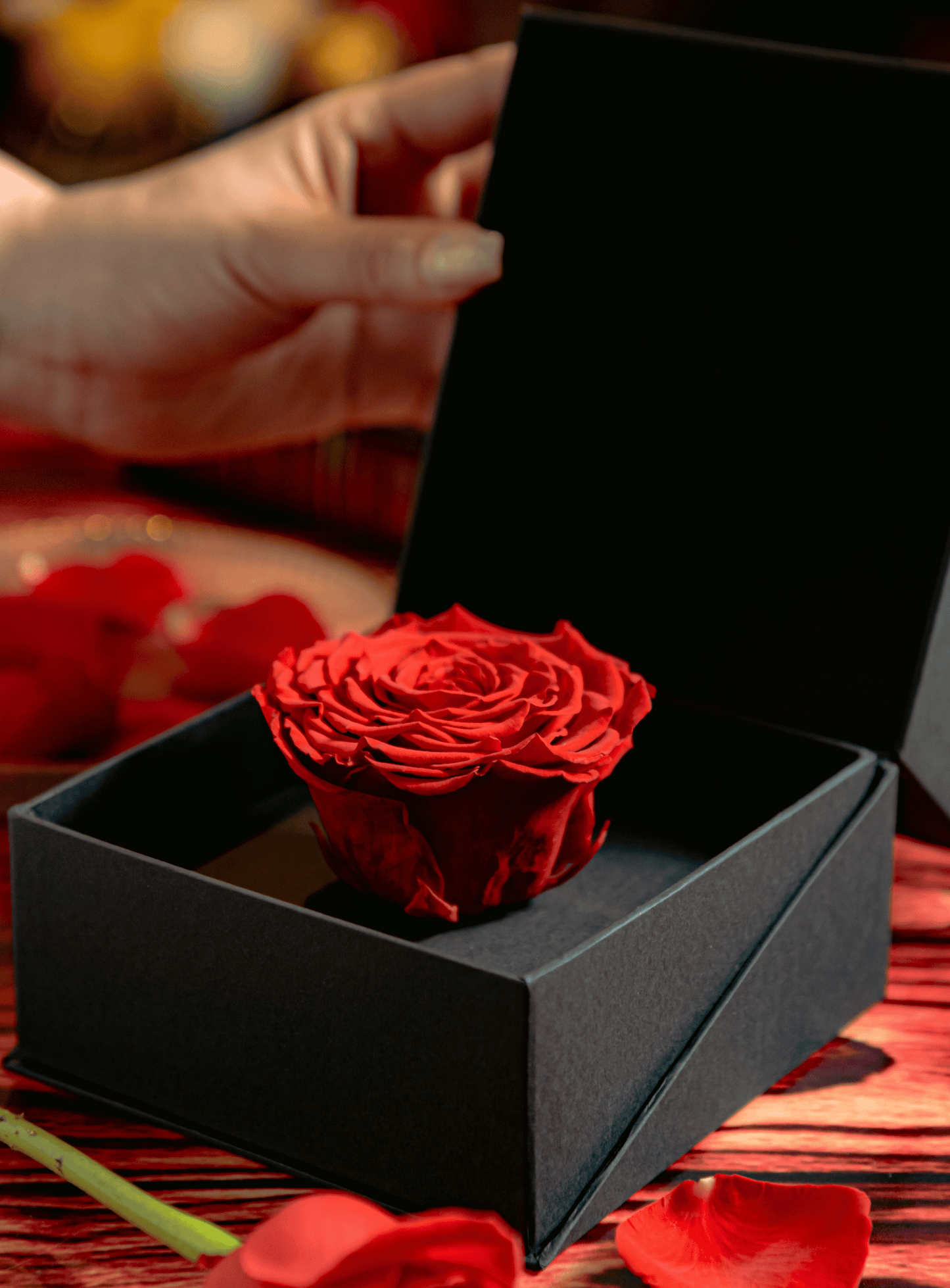 Coffer Box | 1 Rosa