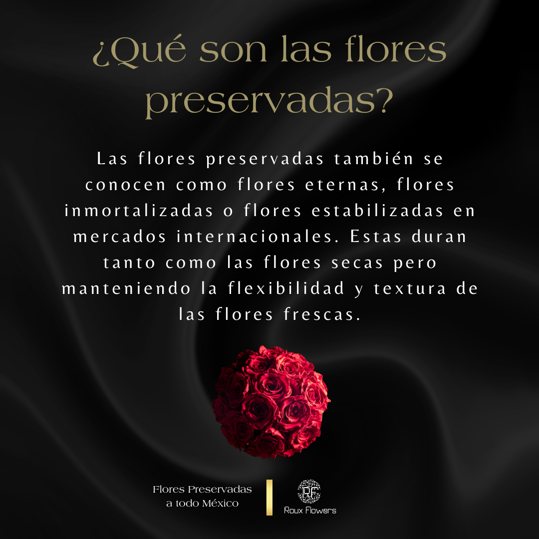 💘 Corazón de Rosas Preservadas con Iniciales