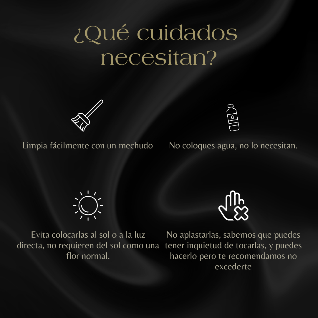 💘 Corazón de Rosas Preservadas con Iniciales