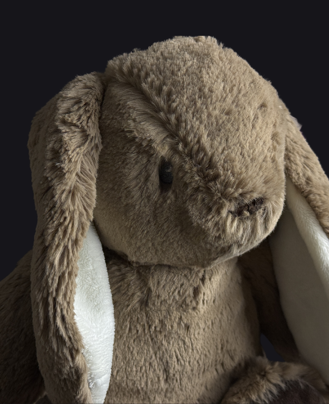 Teddy Hug | Conejo