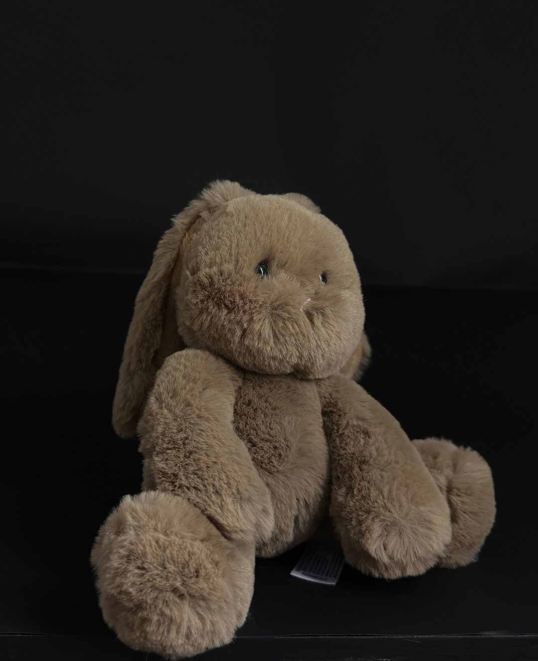 Teddy Hug | Mini Conejito