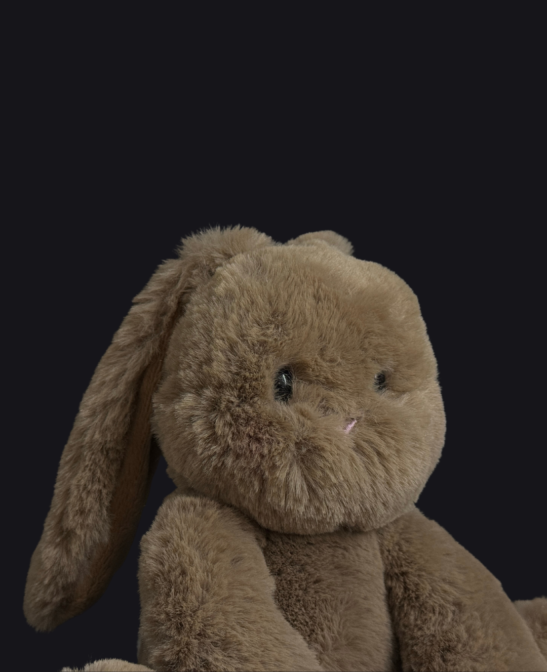 Teddy Hug | Mini Conejito