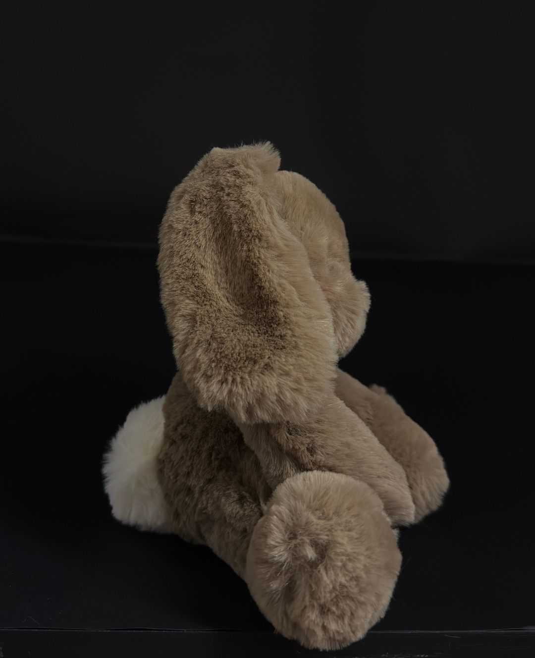 Teddy Hug | Mini Conejito