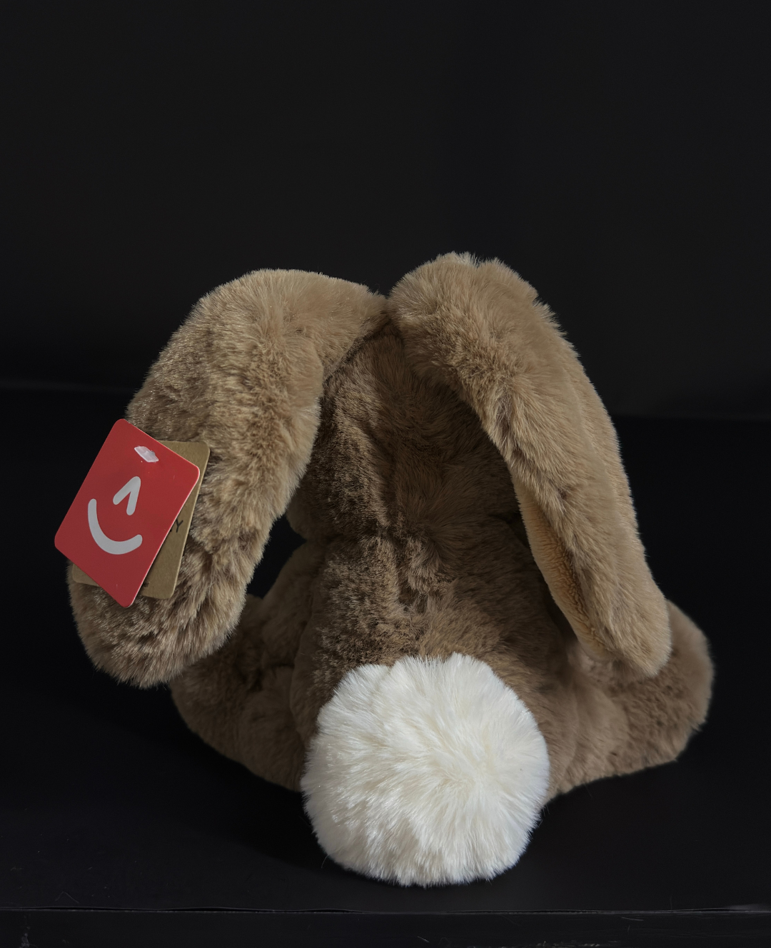 Teddy Hug | Mini Conejito