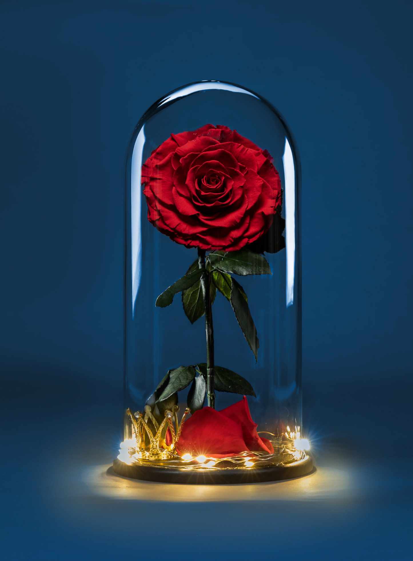 Glass Rose | 1 Rosa