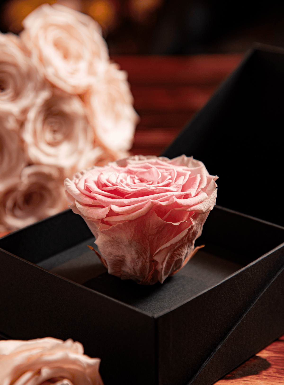 One Rosa Container Coffer Box | 1 Rosa