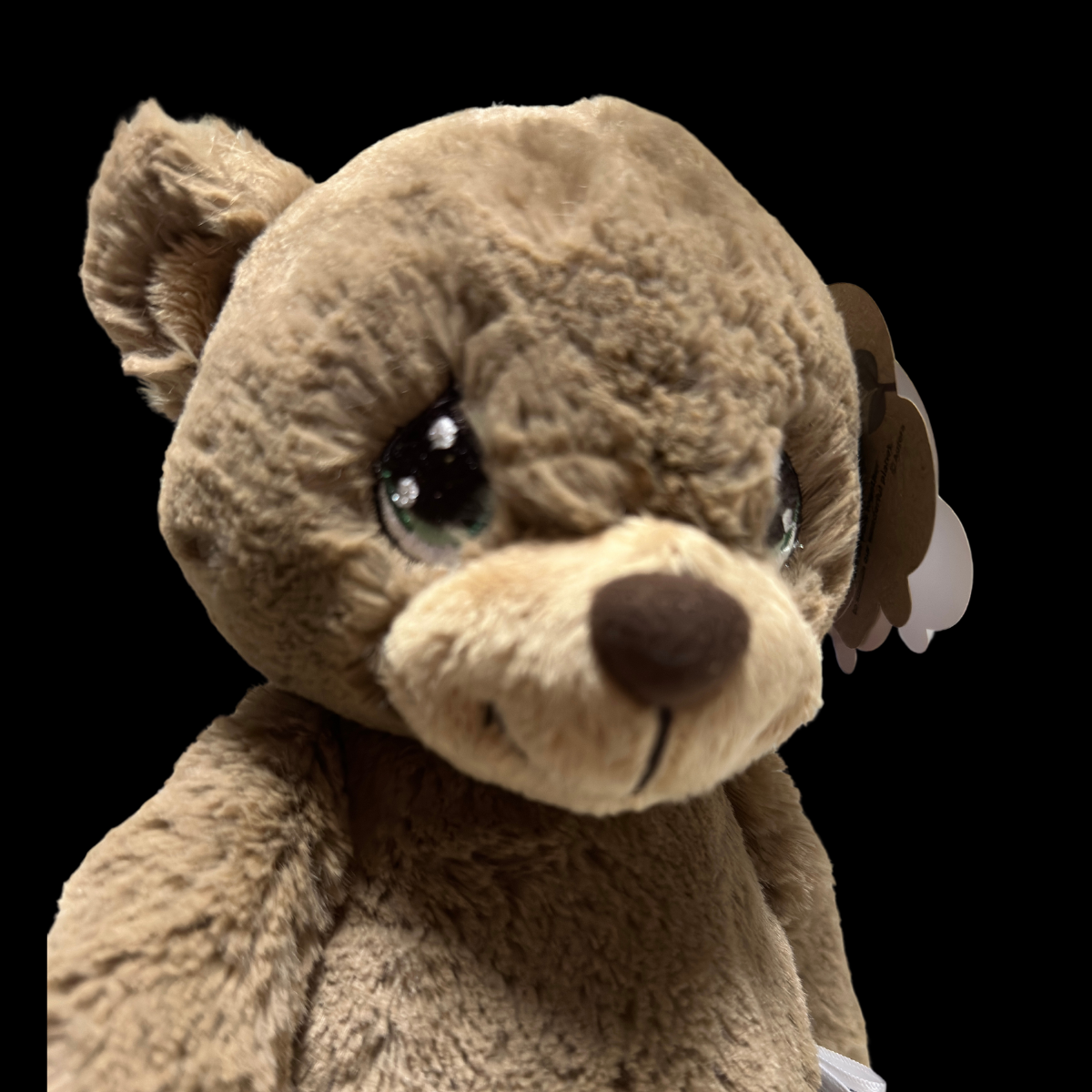 Peluche Oso Café Ojo Bordado