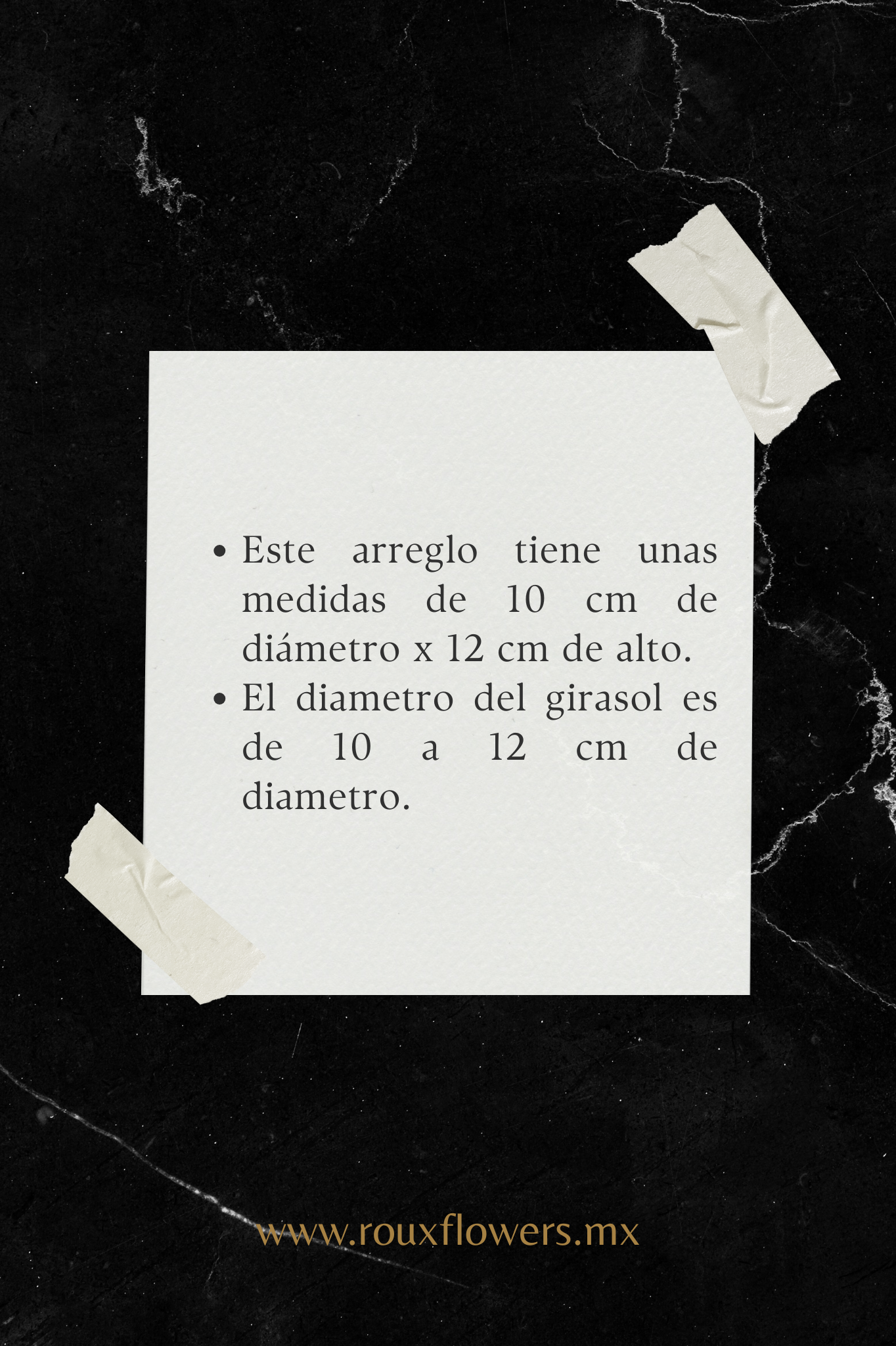 Eternelle Box | 1 Girasol