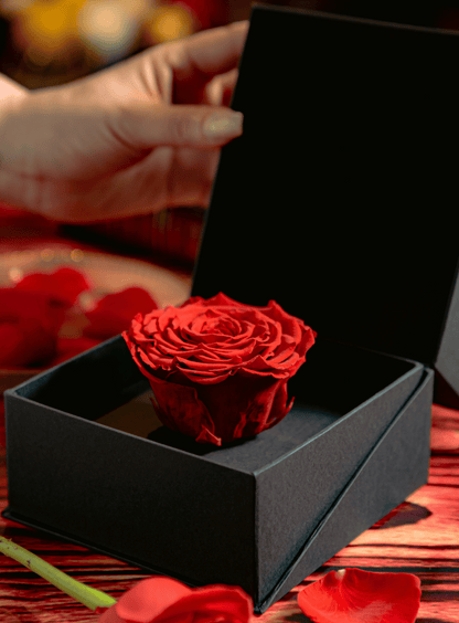 Coffer Box | 1 Rosa