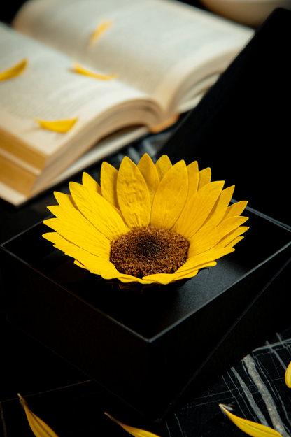 Coffer Box | 1 Girasol