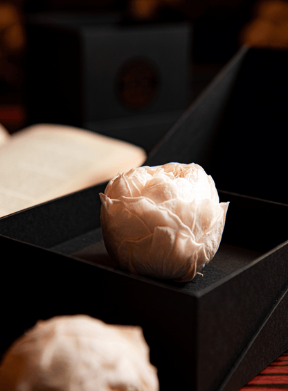 Coffer Box | 1 Peonia