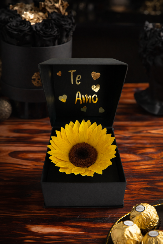 Coffer Box | 1 Girasol