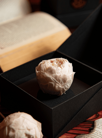 Coffer Box | 1 Peonia