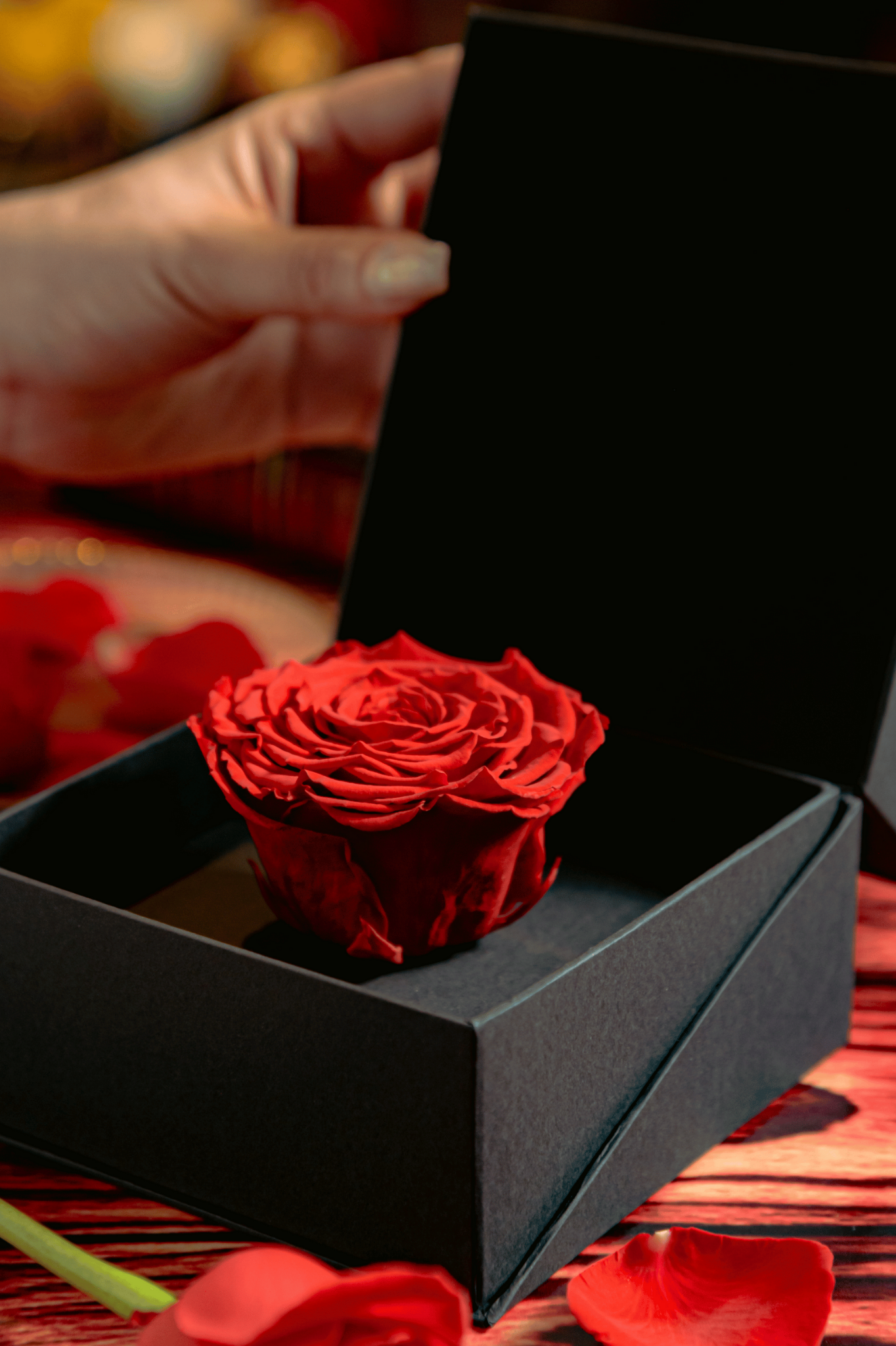 One Rosa Container Coffer Box | 1 Rosa