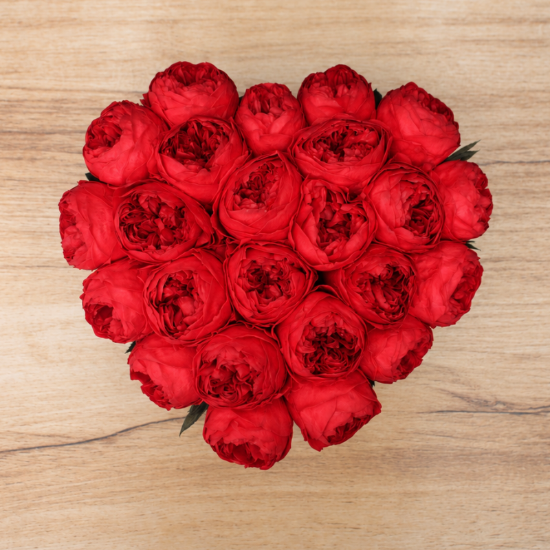 Arreglo de 16 Peonias Preservadas en Caja de Corazón | Envío a Todo México