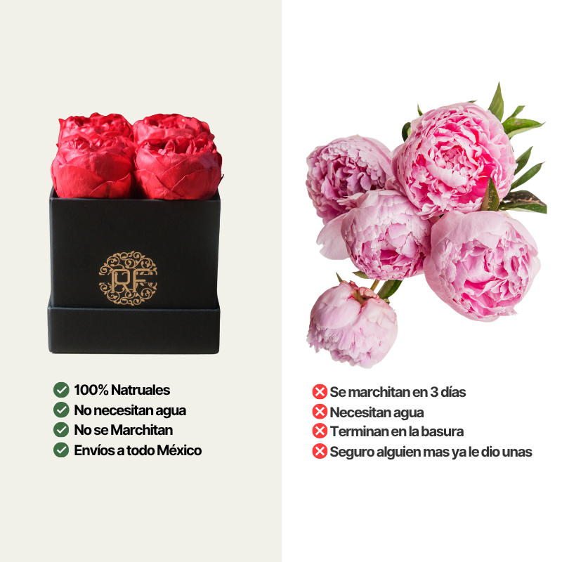 Eternelle Box | 4 Peonias