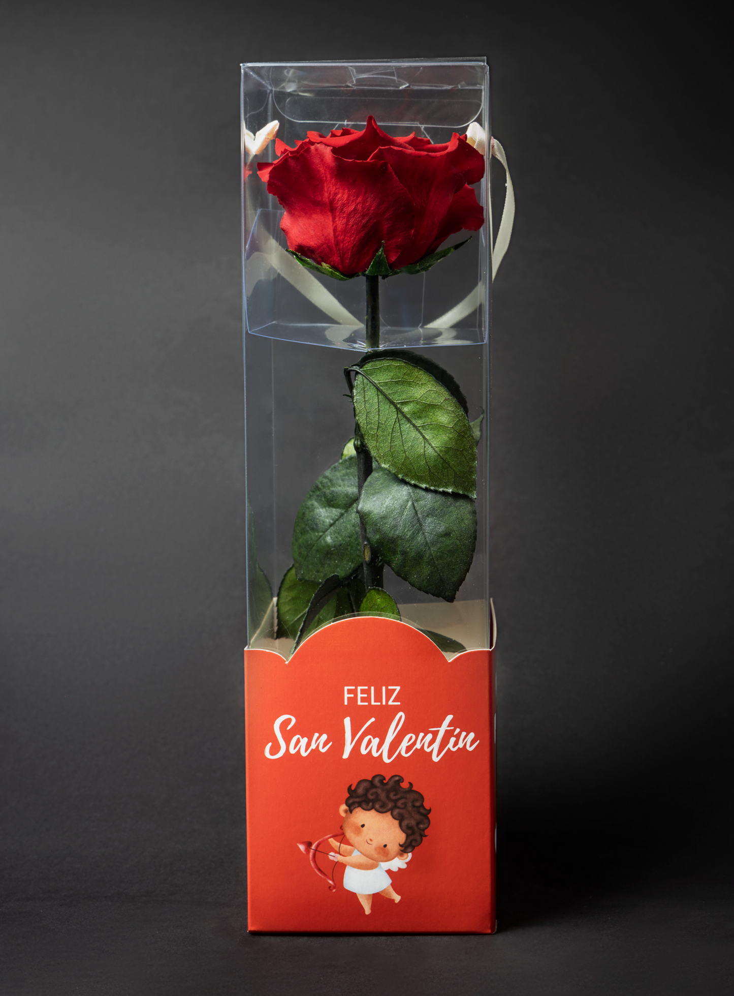 Rosa Roja Preservada – Un Amor que Dura para Siempre 🌹❤️