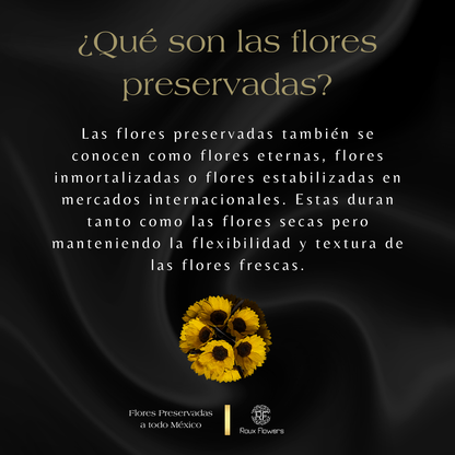 Eternelle Box | 1 Girasol