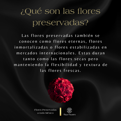 Eternelle Rose | Individual