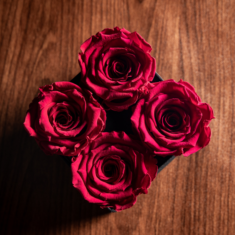 4 Rosas Preservadas en Estuche