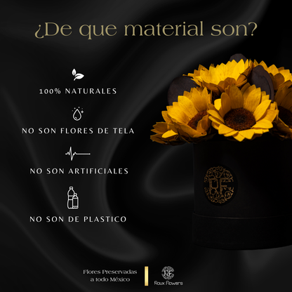Eternelle Box | 1 Girasol