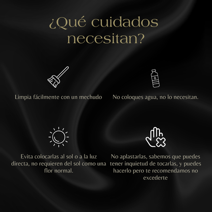 Eternelle Box | 1 Girasol
