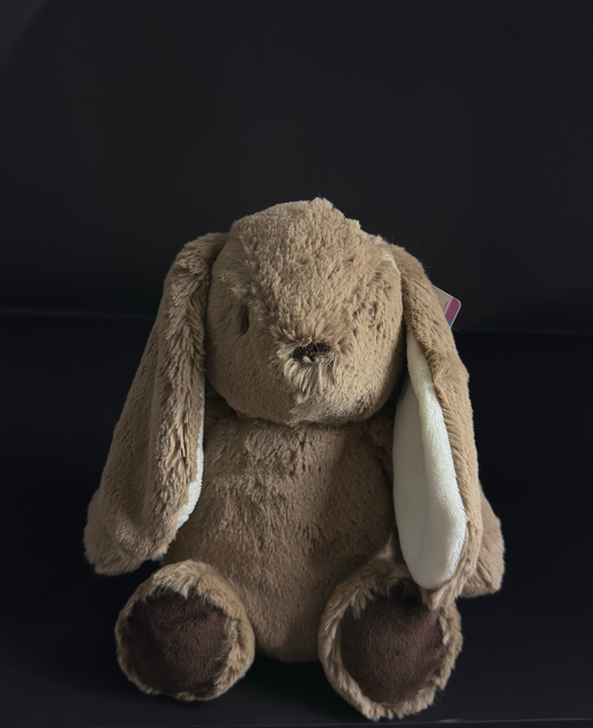 Teddy Hug | Conejo