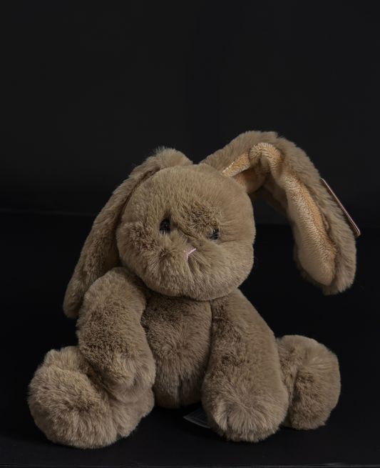 Teddy Hug | Mini Conejito