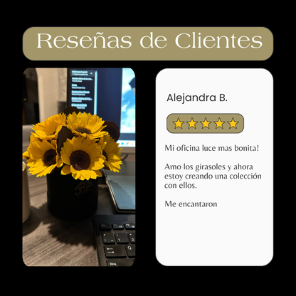 Eternelle Box | 1 Girasol