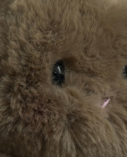 Teddy Hug | Mini Conejito