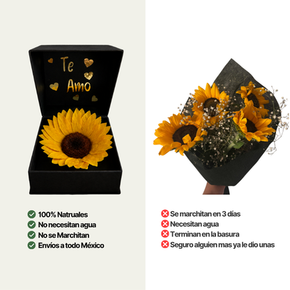 Comparación entre girasol preservado en caja alhajero y ramo floral fresco tradicional