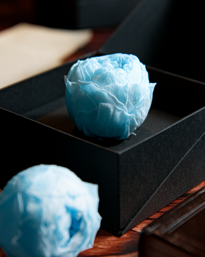 Coffer Box | 1 Peonia