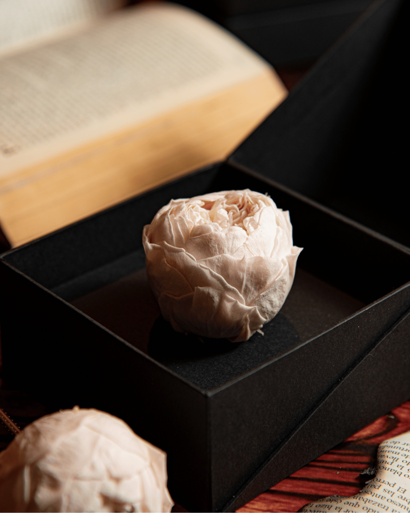 Coffer Box | 1 Peonia