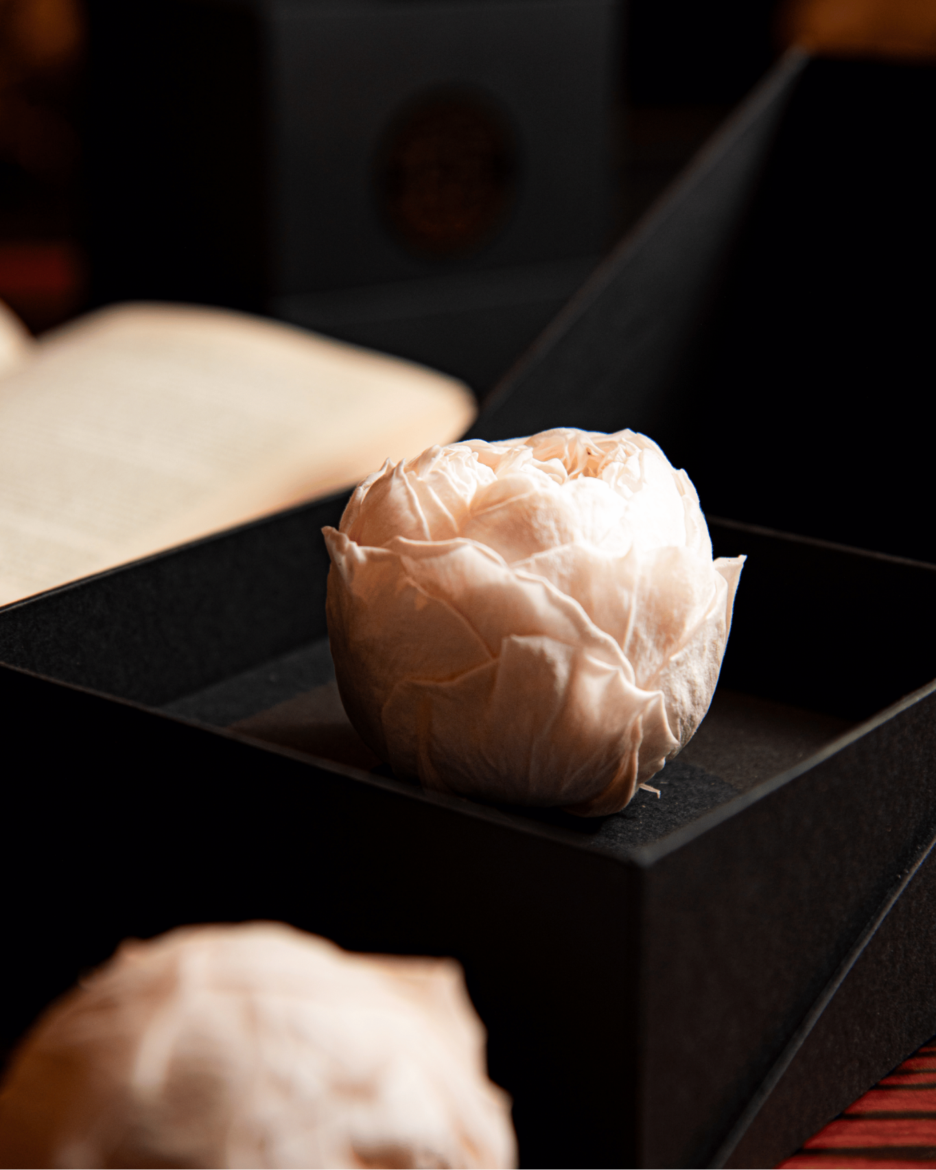 Coffer Box | 1 Peonia