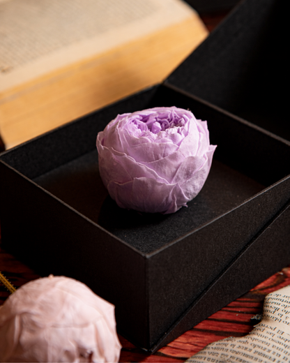 Coffer Box | 1 Peonia