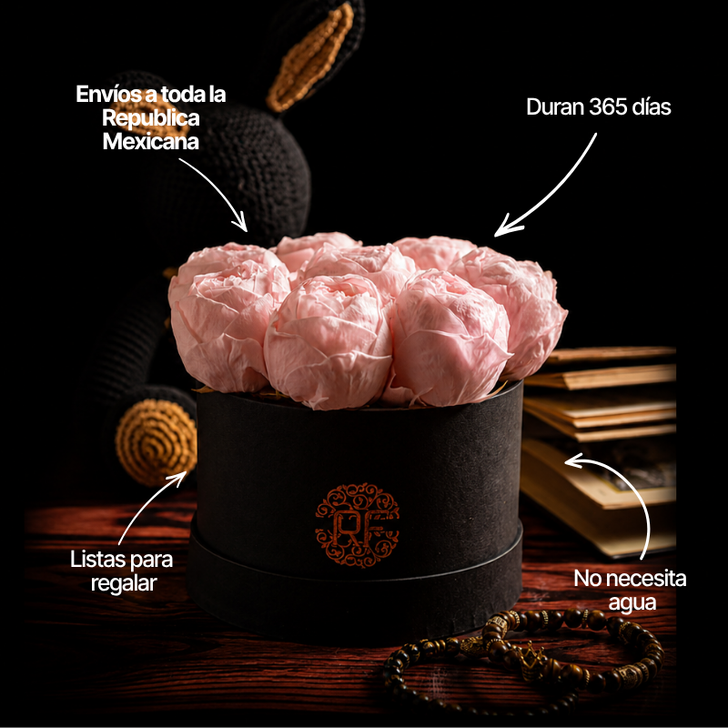 Eternelle Box | 8 Peonias