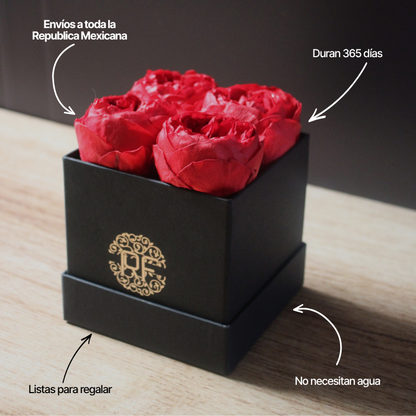 Eternelle Box | 4 Peonias