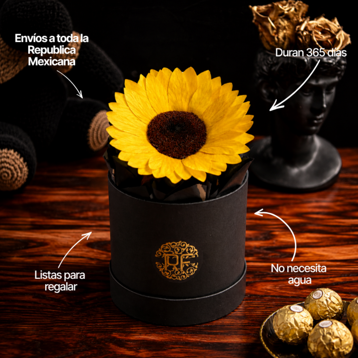 Detalles y dimensiones del girasol preservado en sombrerera negra con chocolates de regalo