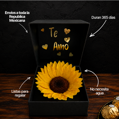 Detalles y dimensiones del girasol preservado en caja cofre con tapa y acabados dorados