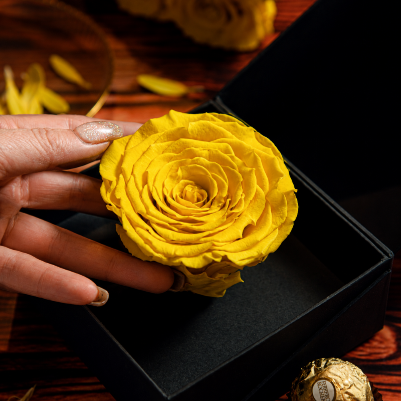 Rosa eterna amarilla natural preservada de 8 cm en caja alhajero negra de regalo