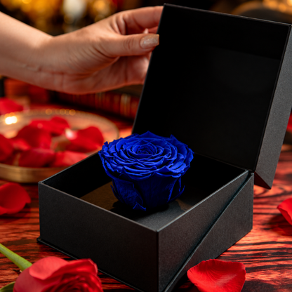 Rosa preservada azul rey en estuche cofre negro elegante para aniversario o sorpresa romántica