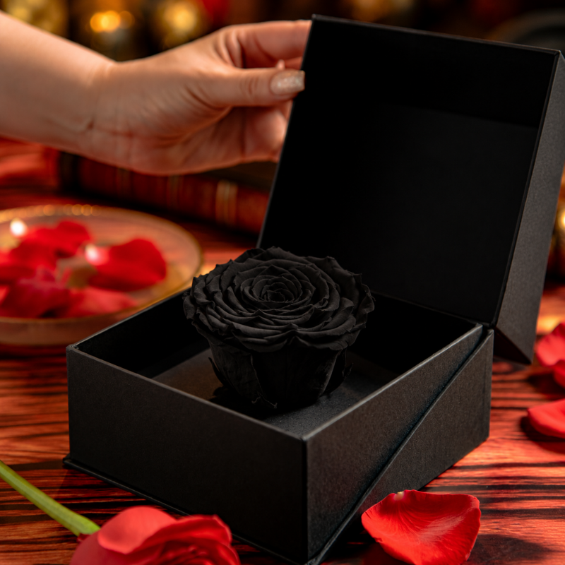 Rosa negra preservada que no se marchita montada en base alhajero negra de lujo