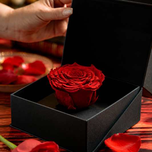 Rosa roja preservada en caja cofre negra de regalo romántico con entrega a todo México