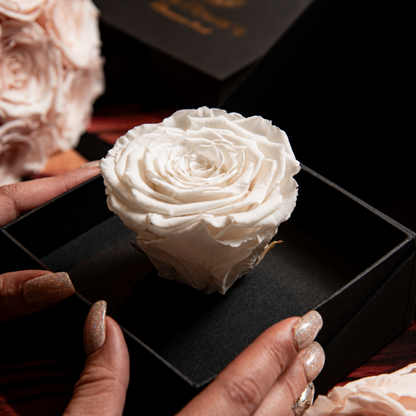 Flor de rosa blanca natural preservada de larga duración en caja tipo cofre negro