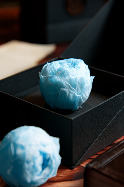 Coffer Box | 1 Peonia