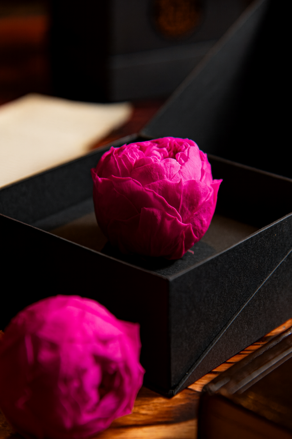 Coffer Box | 1 Peonia