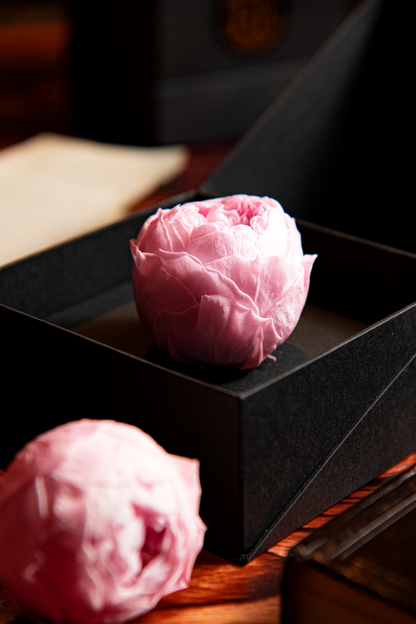 Coffer Box | 1 Peonia
