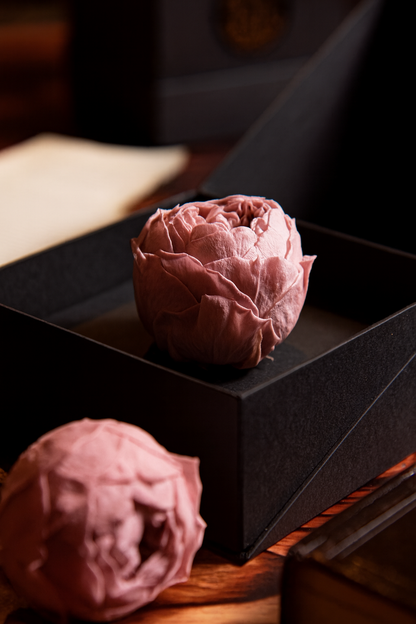 Coffer Box | 1 Peonia