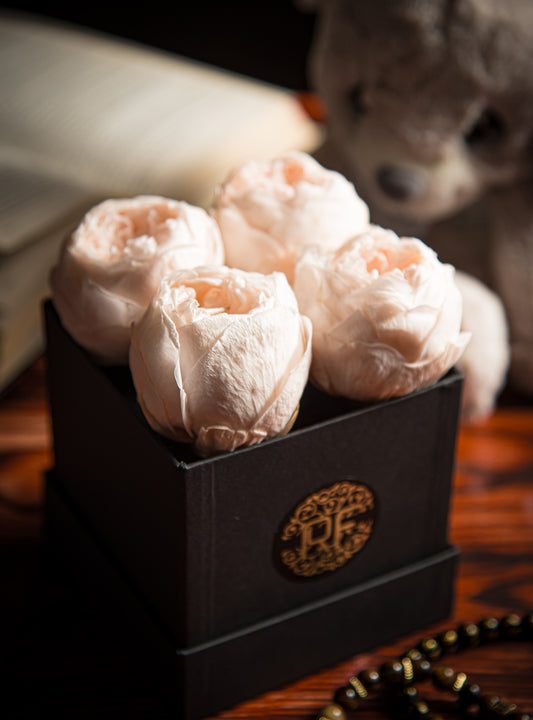 Eternelle Box | 4 Peonias